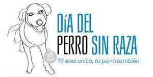 perro2 300x151 Día del perro sin raza: Tú eres único, tu  perro también