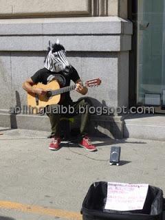 Zebras playing the guitar in Barcelona!