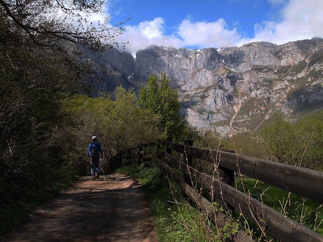 circular a las peñas de cifuentes