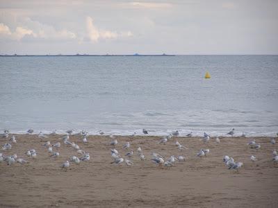 Seis fichas informativas sobre temas ambientales prioritarios
