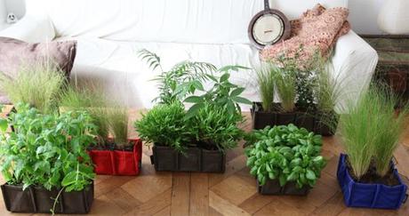 ¿Una maceta con asas? Nueva colección Batyline de Bacsac indoor2 ¿Una maceta con asas? Nueva colección Batyline de Bacsac