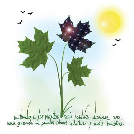 Instala paneles solares y... corta con tu compañía eléctrica nuevos%2520paneles%2520solares Instala paneles solares y... corta con tu compañía eléctrica