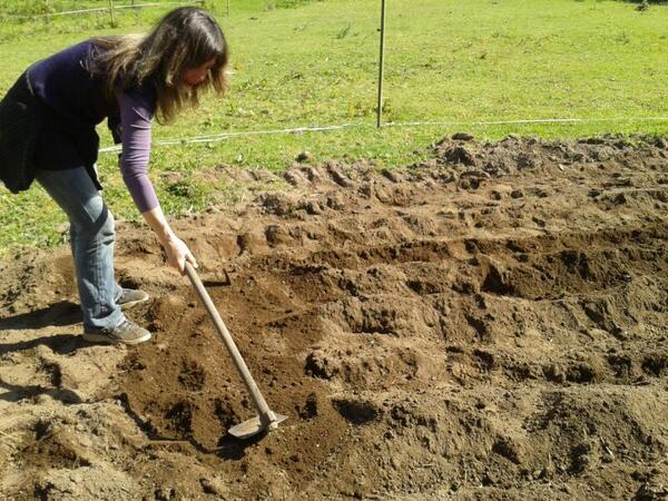 vamos al pueblo!!! hay comida y mucho trabajo a cambio de esfuerzo y felicidad!!!