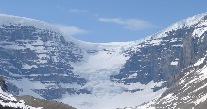 Planta que estuvo congelada bajo un glaciar por cientos de años revivió
