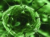 coronavirus amenaza mundial