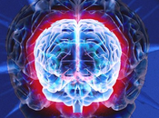 Europa entregra 1000 milllones euros para recrear cerebro humano