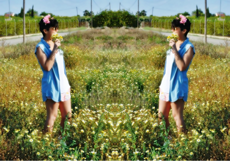 ladycolors