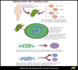 Reprogramación celular
