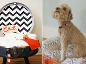 Hazlo mismo: Camitas para mascotas maletas viejas