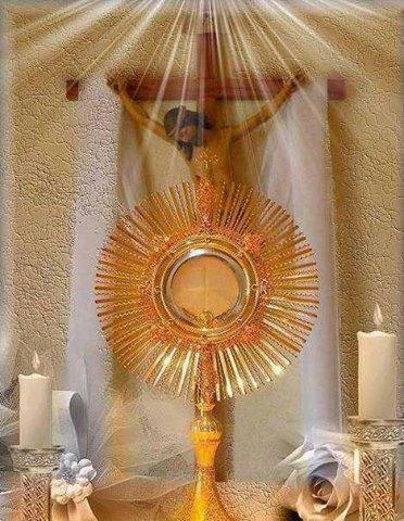 181245_377752132337133_462284891_n