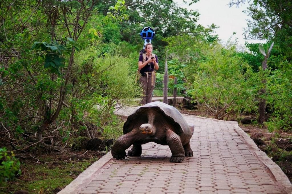 Google Maps Islas Galapagos