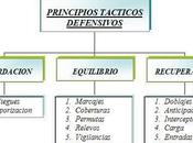 Principios tácticos ofensivos