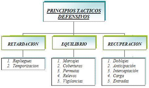 Principios tácticos ofensivos