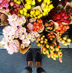 LOVE IT or HATE IT; ESPADRILLES.-