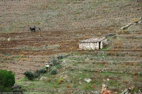 Llaurant a Les Tosses by R. Lopez-Monné