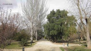 Paseo del Jardín Botánico de Zaragoza