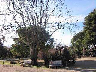 Bancos en el Jardín Botánico de Zaragoza