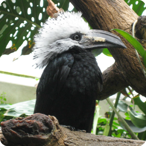 El zoológico de Central Park