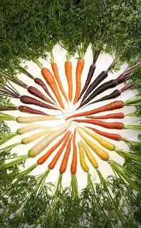 zanahoria, carrot, naranja, holanda, color de zanahorias, curiosidad