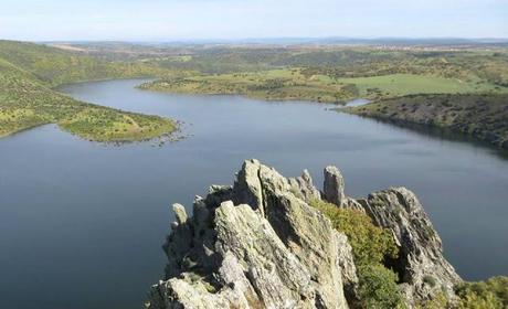 COMO HACER UN ARROZ A LA ZAMORANA PARA CASI 500 PERSONAS Y NO MORIR EN EL INTENTO