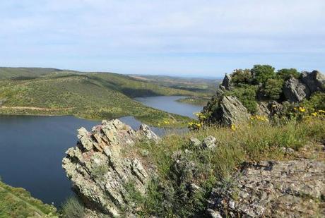 COMO HACER UN ARROZ A LA ZAMORANA PARA CASI 500 PERSONAS Y NO MORIR EN EL INTENTO