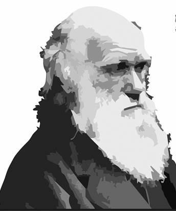 C Darwin