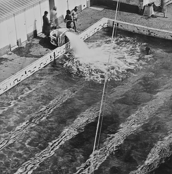 BARCELONA...MANEL ÚBEDA   (  PHOTOCRAPFHER   )...29-05-2013...