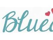 Bluedale, prendas clasicas actualidad.