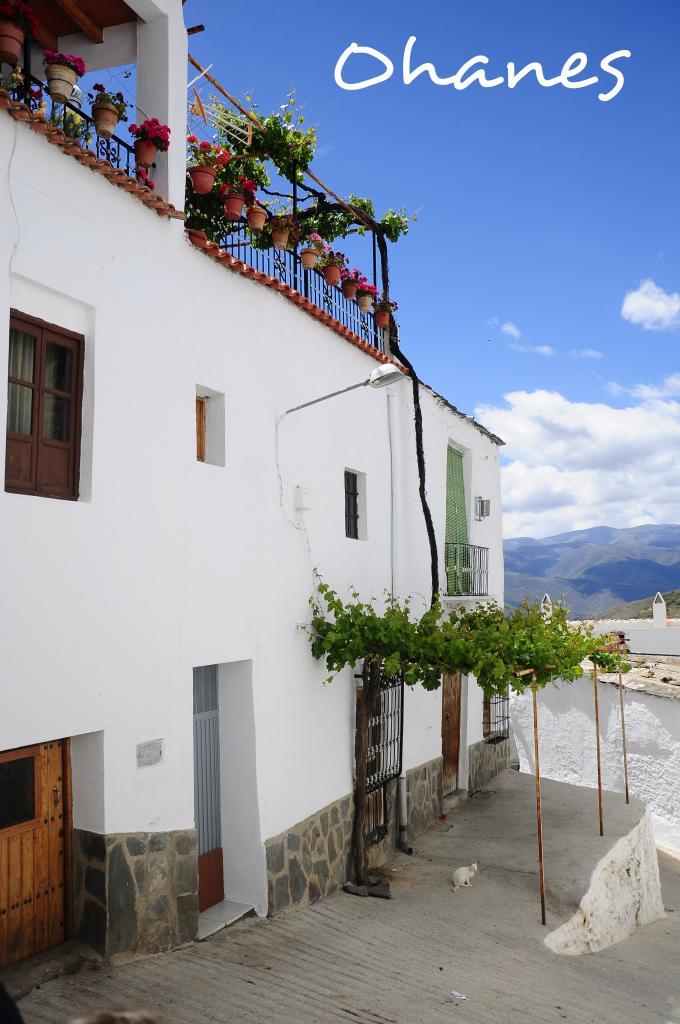  photo fachada_zps21cfa490.jpg