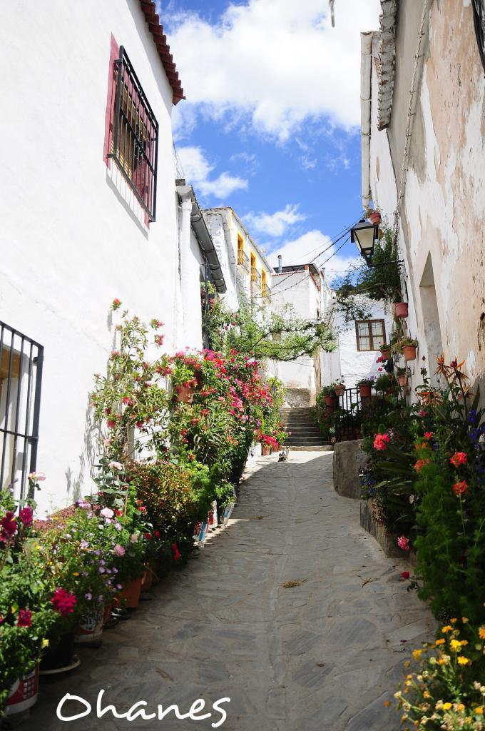  photo macetas_zps2efc376f.jpg