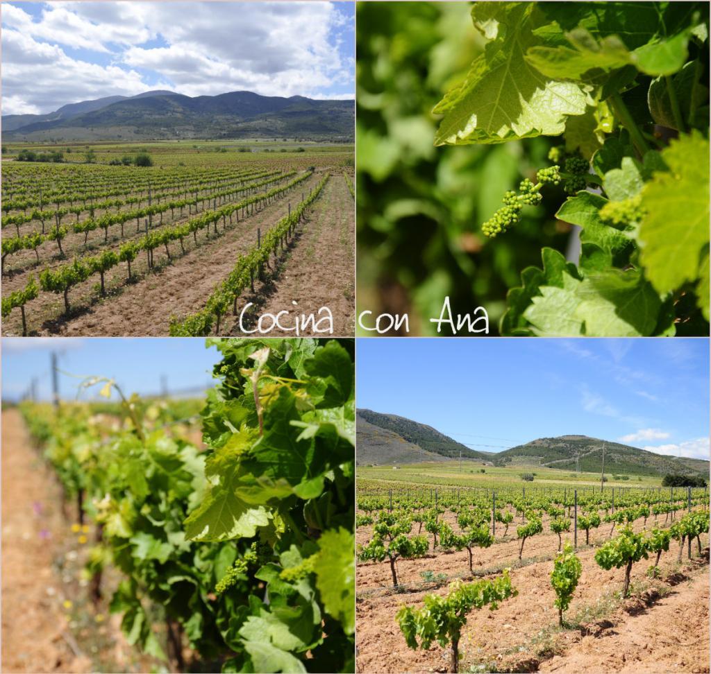  photo paisajeslaujar_zps5b410538.jpg