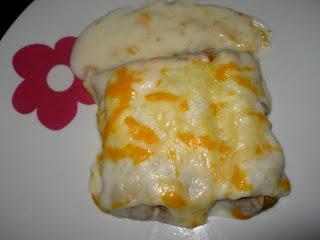 CANELONES DE CARNE