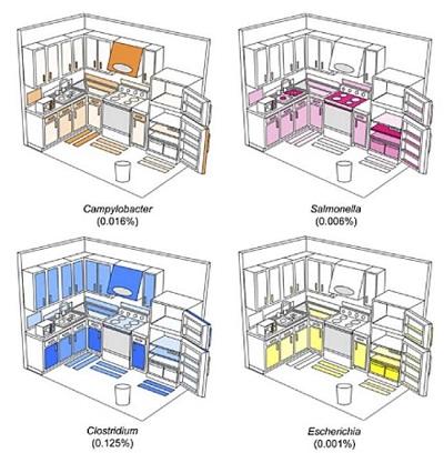 BACTERIAS EN TU HOGAR, TU CASA ESTÁ INVADIDA