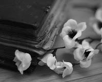 Reading - Cómo ligar con un duque