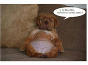 Humor