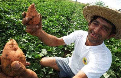 BANCOS NO QUIEREN SABER DEL SECTOR AGRÍCOLA…
