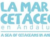 Exposición cetáceos Andalucía’ (Sevilla, España)