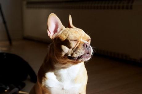 Sistema de educación: implosión controlada de las capacidades reflexivas del sujeto. hugu