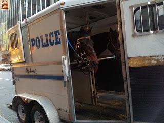 Día 4: Nueva York (Midtown Manhattan)