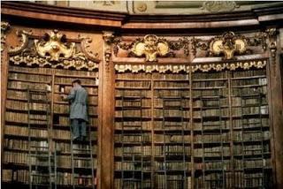 bibliotecario, libros, perdidos, buscar, encontrar, biblioteca