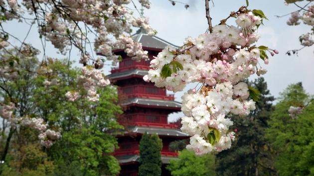 Torre Japonesa de Bruselas