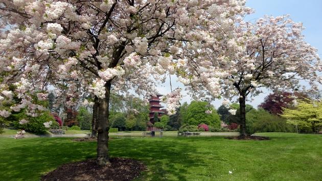 Torre Japonesa Bruselas