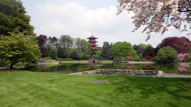 Torre Japonesa Bruselas (2)