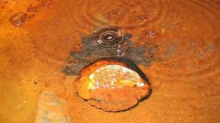 Descubren el Agua Más Antigua del Mundo en Canadá