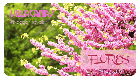 fotografías de villacañas que visitar en villacañas