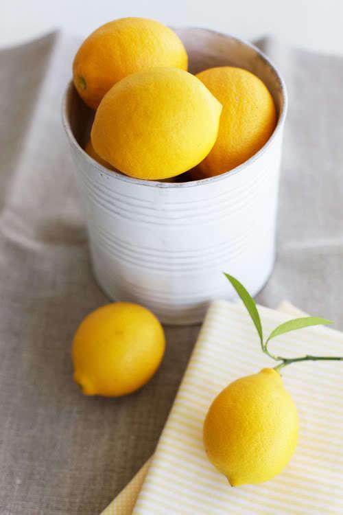 lemons-limones 08