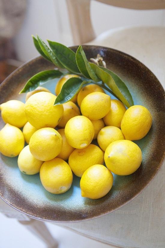 lemons-limones 06