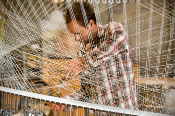 La onda cámbrica de Reuben Margolin