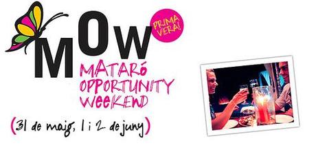 Mataró Opportunity Weekend (MOW) 2013
