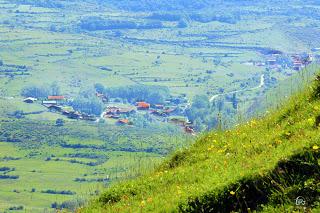Noticias sobre desolación